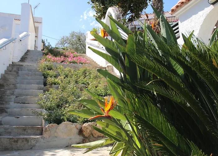 Casas Blancas 39 ميامي بلاتجا